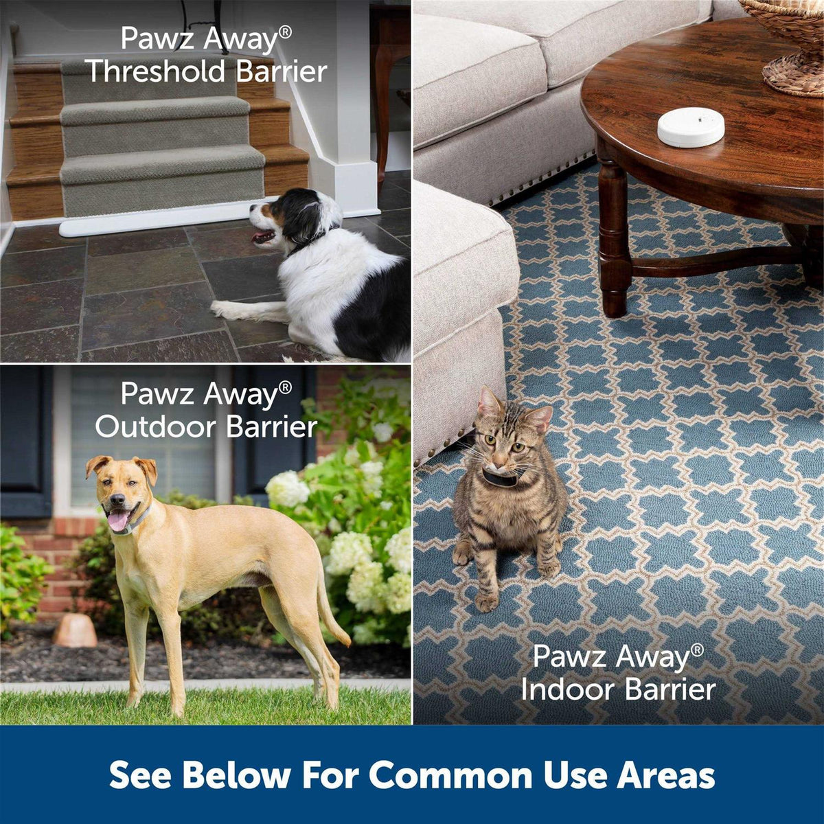 Outdoor Pet Barrier P80975