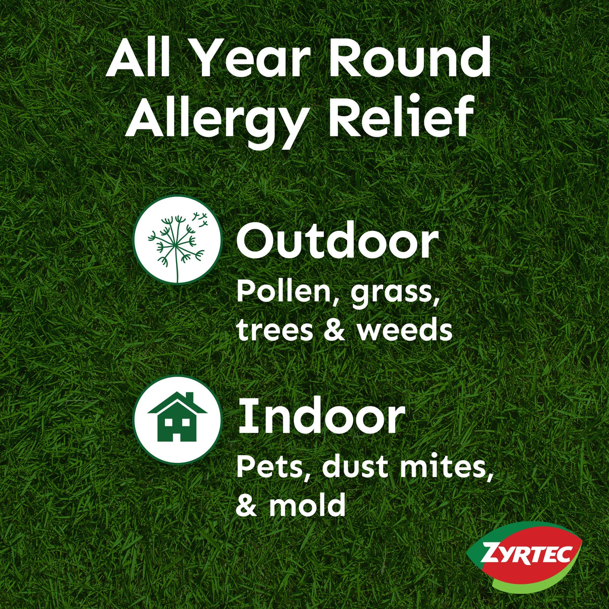 24 Hour Allergy Relief Chewables 10 mg Cetirizine HCl 24 Ct V772174
