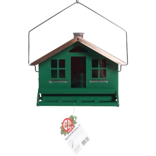 Large 8lb Capacity Squirrel Proof Bird Feeder G188786