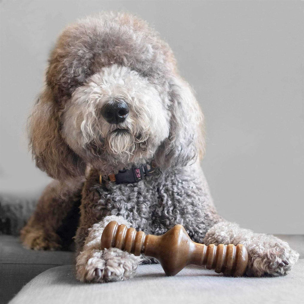 Chicken Dog Chew Toy L9980