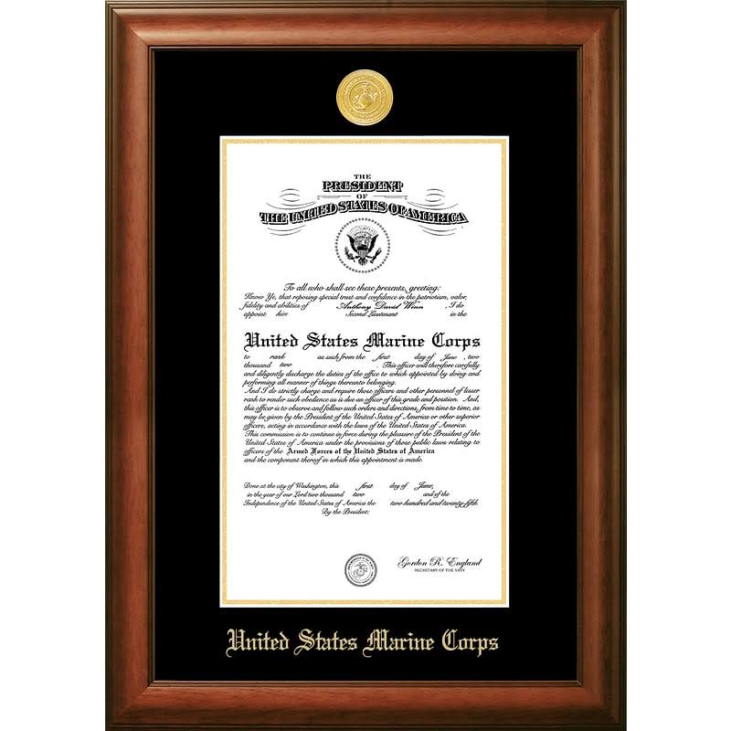 9x22 x 14x22 Picture Frame G930