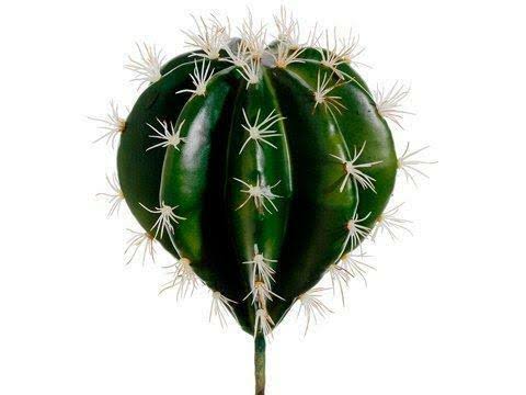Green 6 Pieces Cactus Pick Z7761