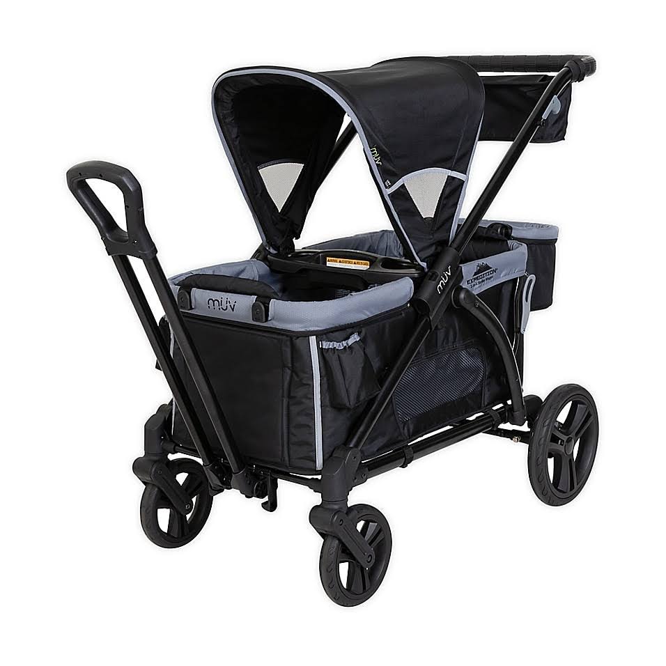 Black 2-in-1 Double Stroller Wagon Z87523