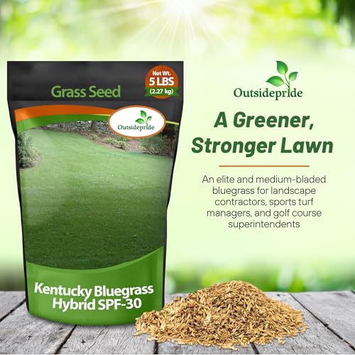 5 lb. Hybrid Bluegrass Lawn Grass Seed P79897