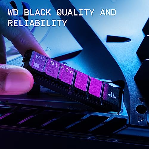 2TB NVMe M.2 SSD with Heatsink E5472