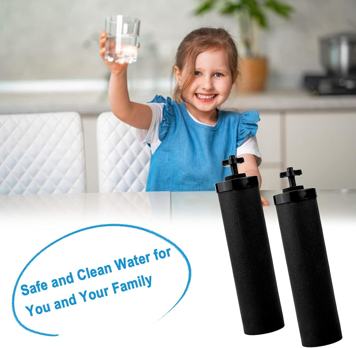 Black Water Filter C47714