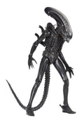 1/4 Scale Action Figure X647