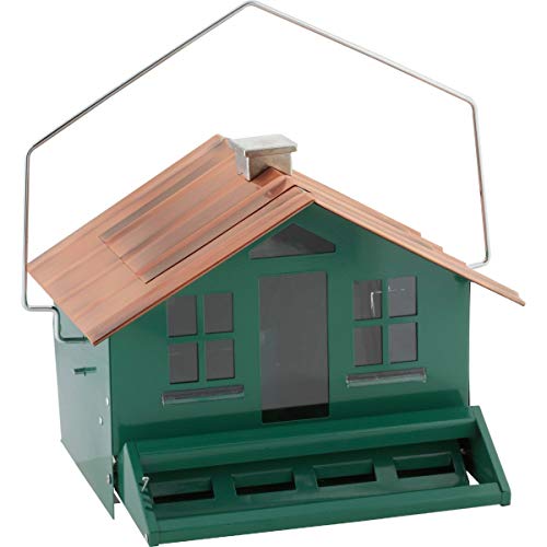 Large 8lb Capacity Squirrel Proof Bird Feeder G188786