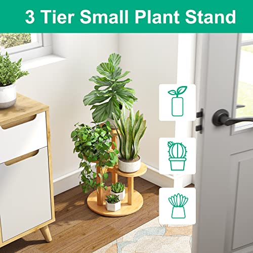 3 Tier Bamboo Plant Stand W4949