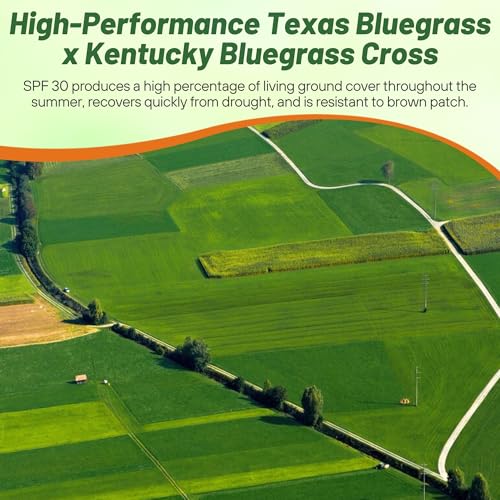 5 lb. Hybrid Bluegrass Lawn Grass Seed P79897