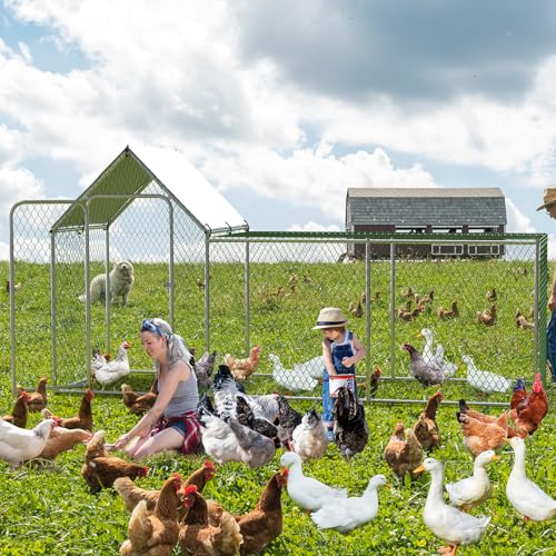 Large Metal Chicken Coop with Waterproof and Anti-UV Cover, 10' W x 3.3' D x 5' H D75253