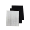 HEPA and Carbon Replacement Filter Pack B15204