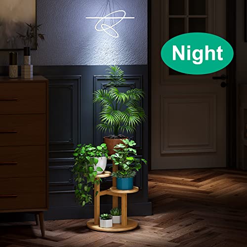3 Tier Bamboo Plant Stand W4949