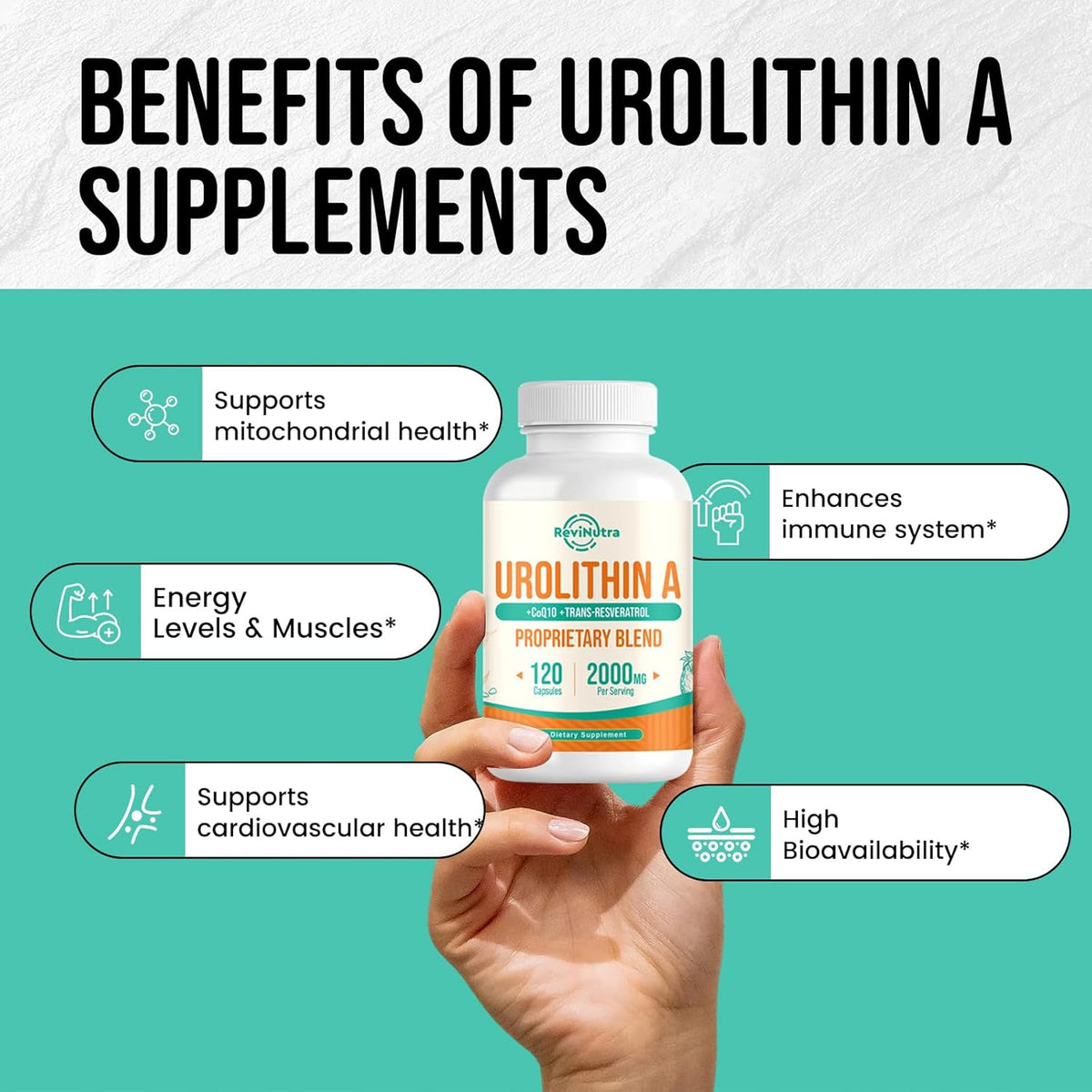 Urolithin A Supplement 2000MG, 120 Capsules V299673