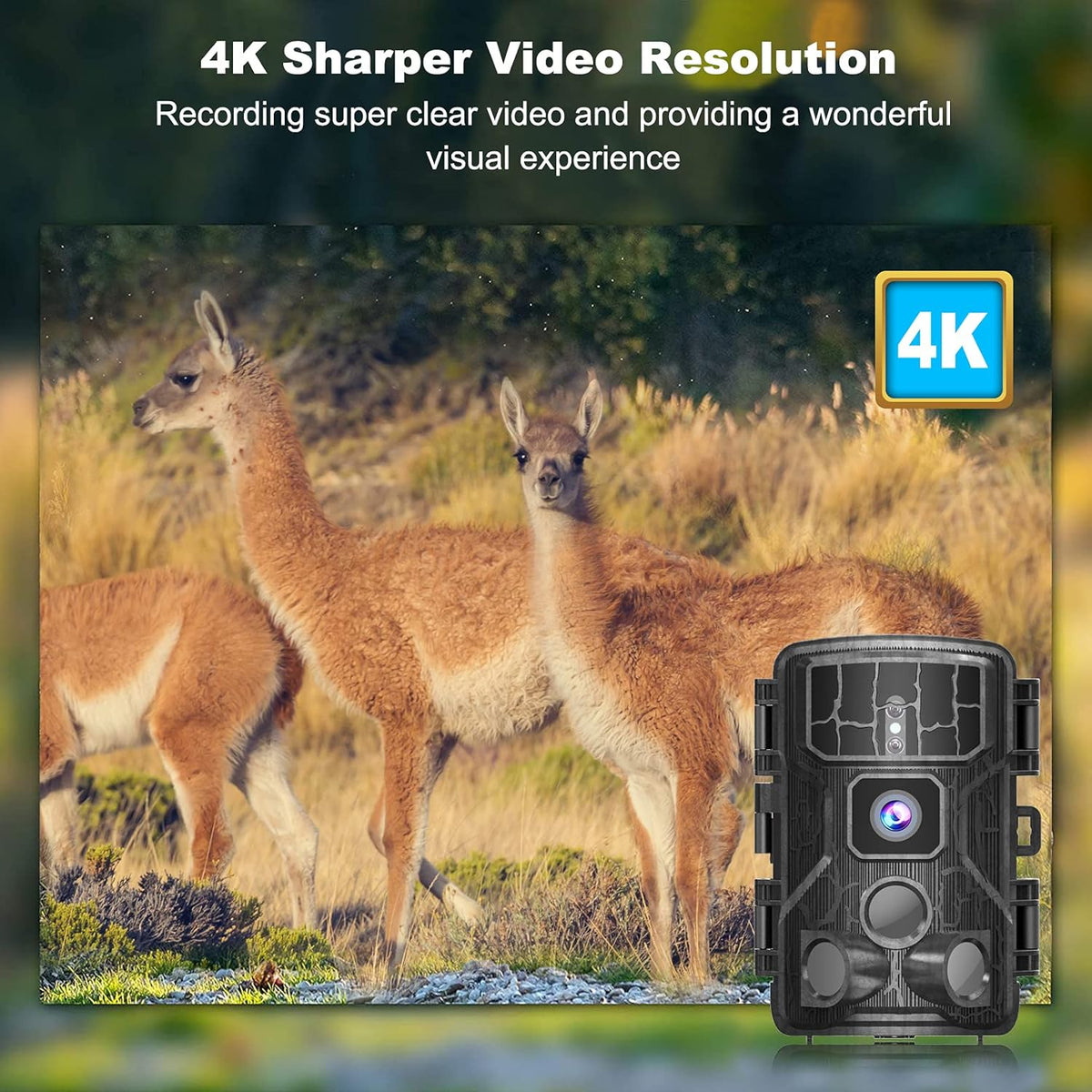 4K 30MP WiFi Bluetooth Trail Camera with Night Vision Motion Activated Waterproof E6005