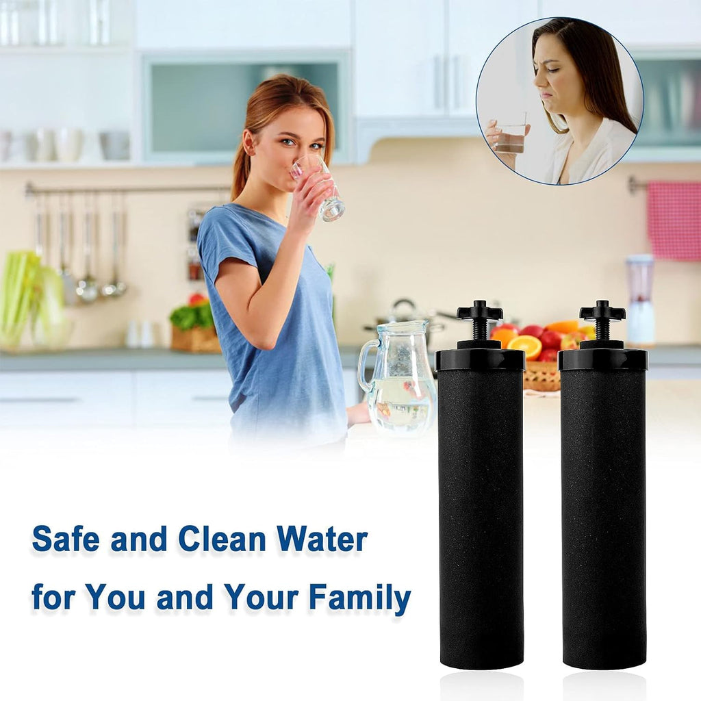 Black Water Filter C47714