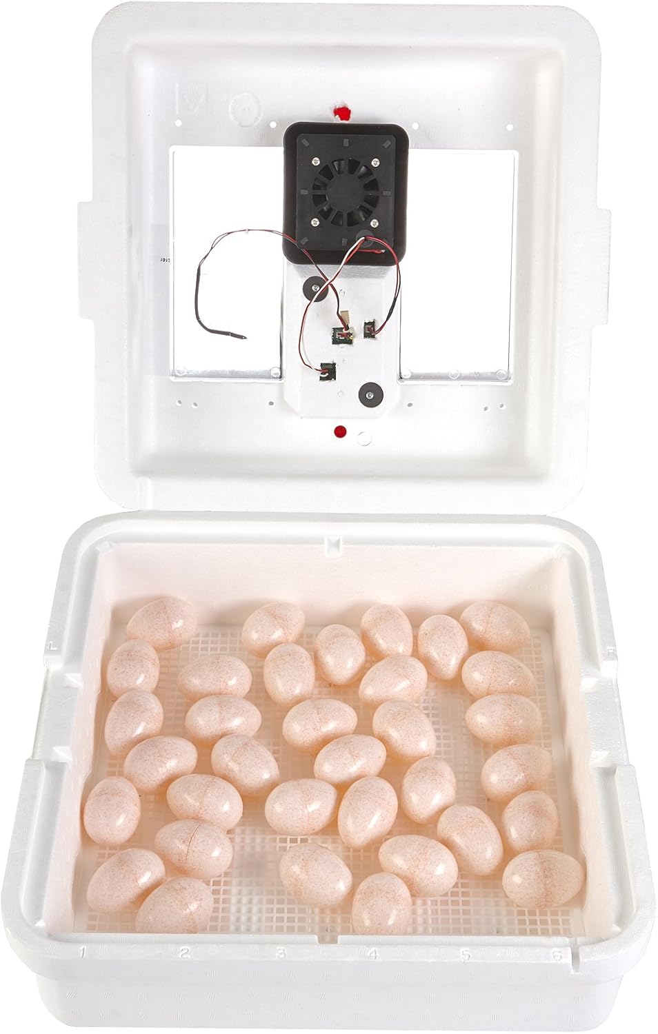 41 Egg Incubator with Fan and Temperature and Humidity Control X55274