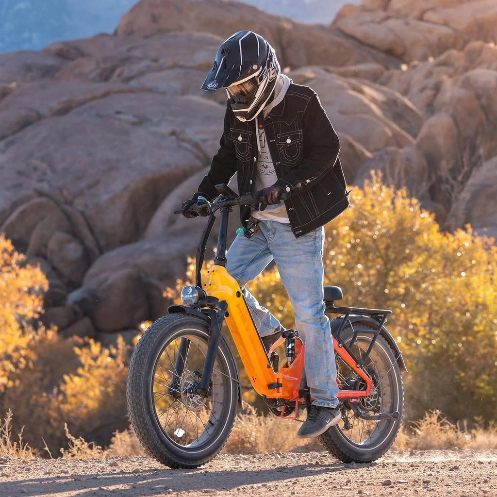 Electric Bike 750W Foldable Ebike with 48V 14.4AH Removable Battery 24" x 4.0" Fat Tire Step-Thru Electric Bicycle T454