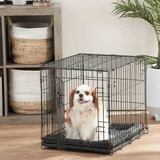 Single-Door Folding Dog Crate with Divider E8631