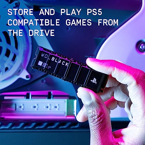 2TB NVMe M.2 SSD with Heatsink E5472