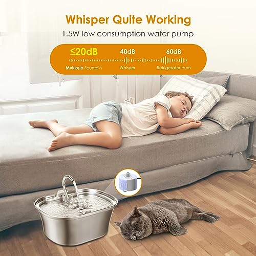 3.2L Stainless Steel Cat Water Fountain G136621