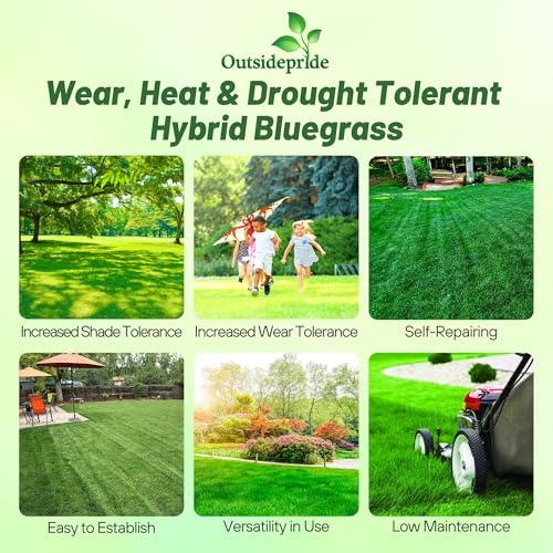5 lb. Hybrid Bluegrass Lawn Grass Seed P79897