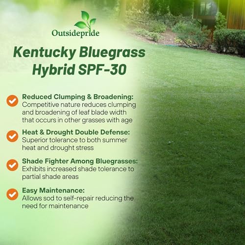 5 lb. Hybrid Bluegrass Lawn Grass Seed P79897