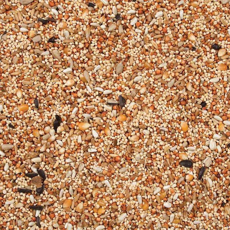 Dove Quail Food T87472