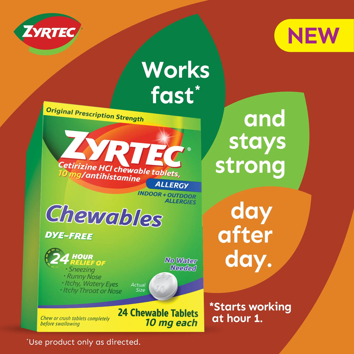 24 Hour Allergy Relief Chewables 10 mg Cetirizine HCl 24 Ct V772174