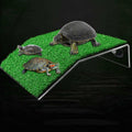 Turtle Basking Platform I623796