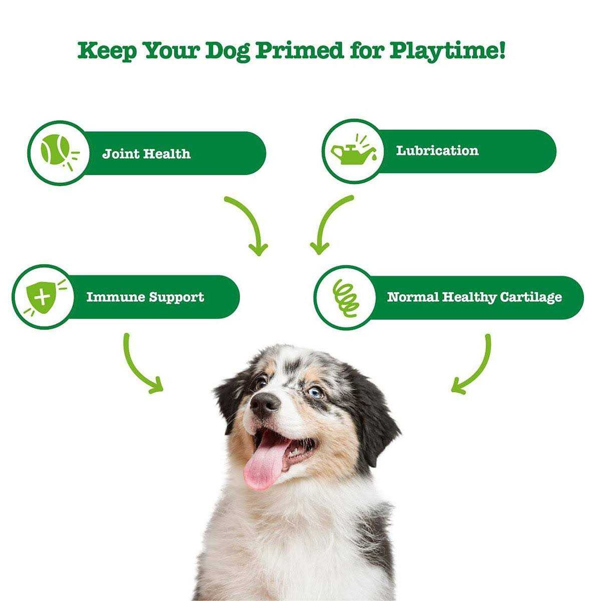 Hemp Mobility Bites for Dogs S77759