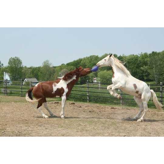 Horse Toy E741