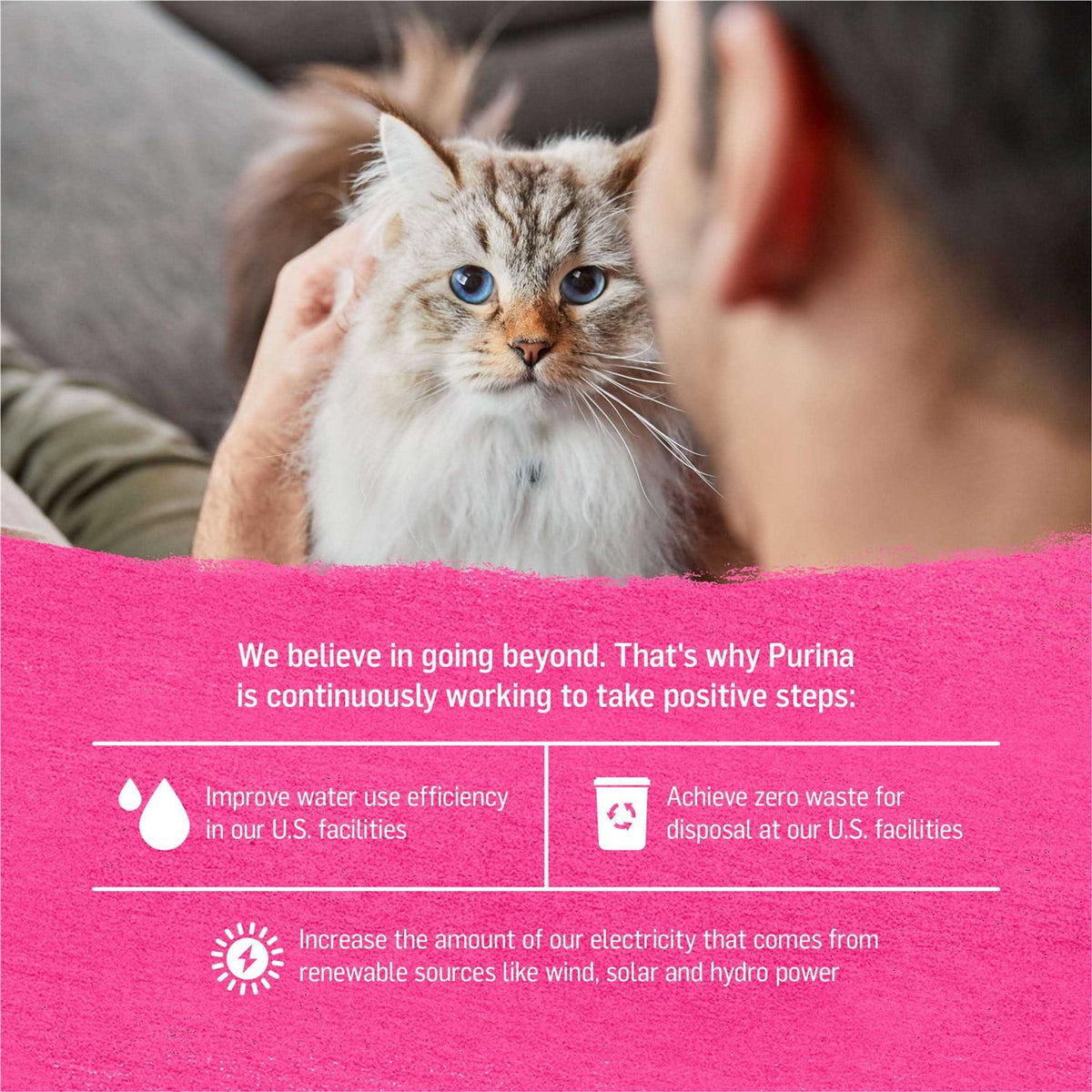Grain-Free Wet Cat Food H159