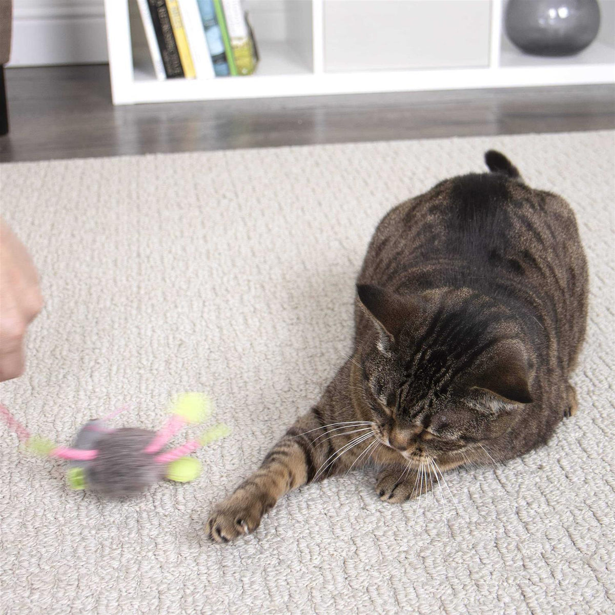 Cat Toy V762616