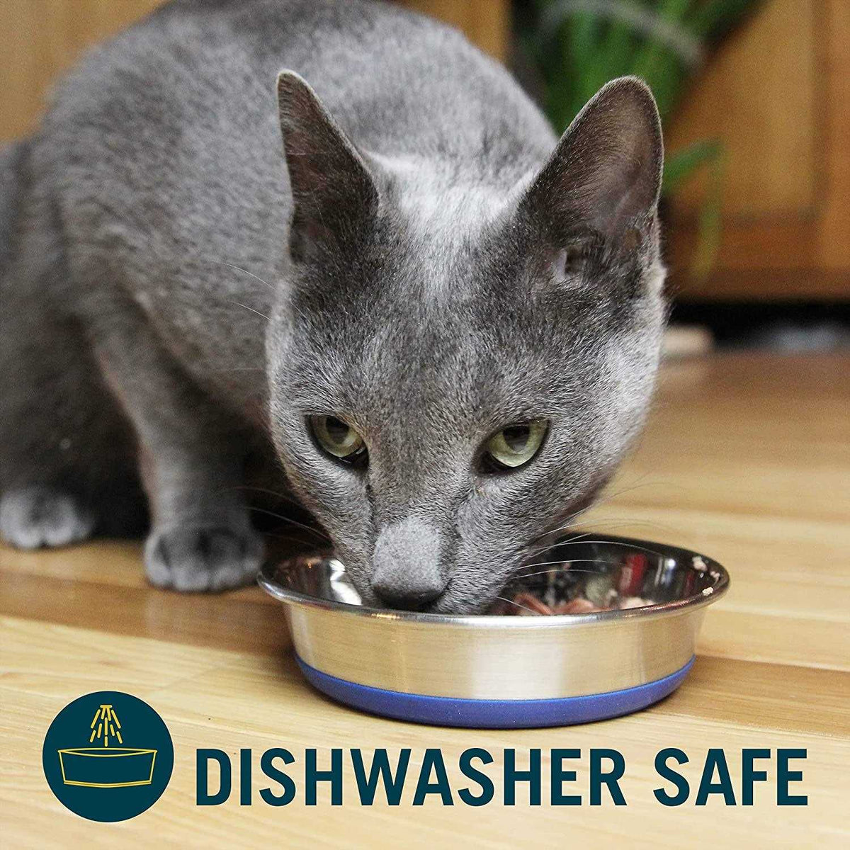 Cat Bowl F704