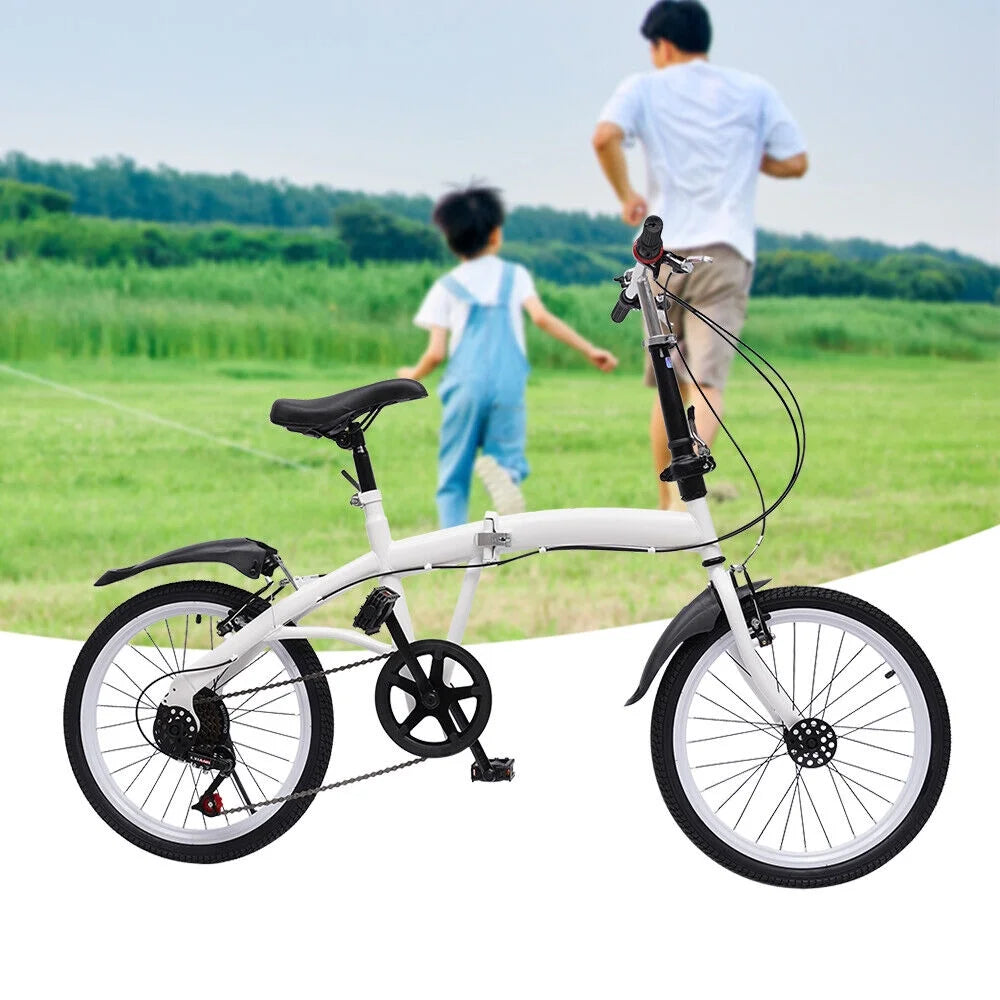 20-inch Folding Bike 7 Speed Double V Brake Carbon Steel A638041