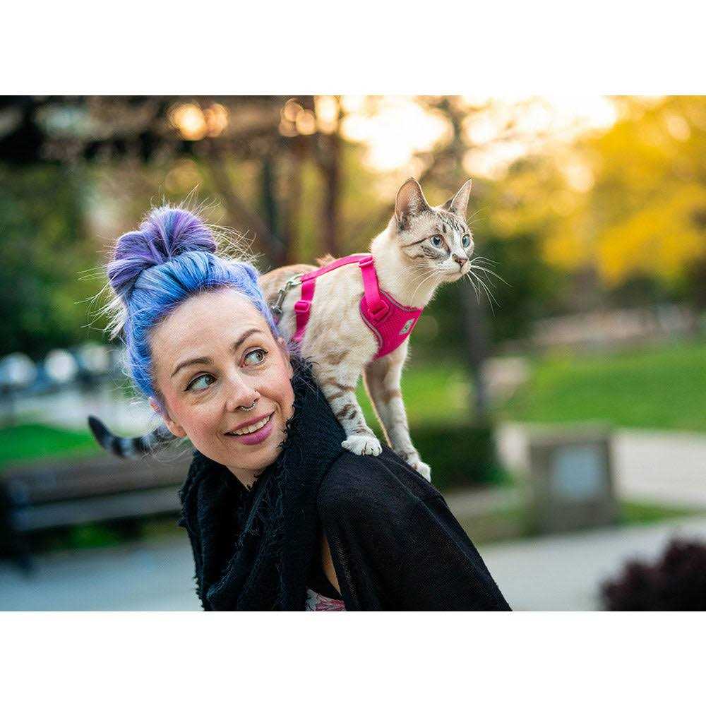 Cat Harness W984025
