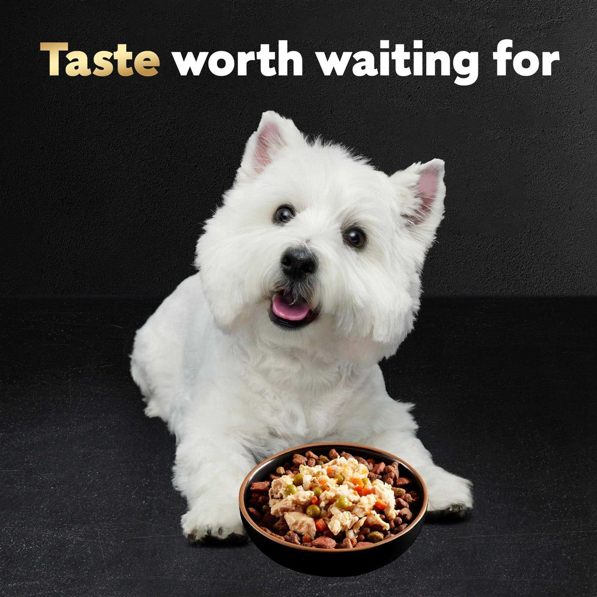 Chicken Wet Dog Food X86040