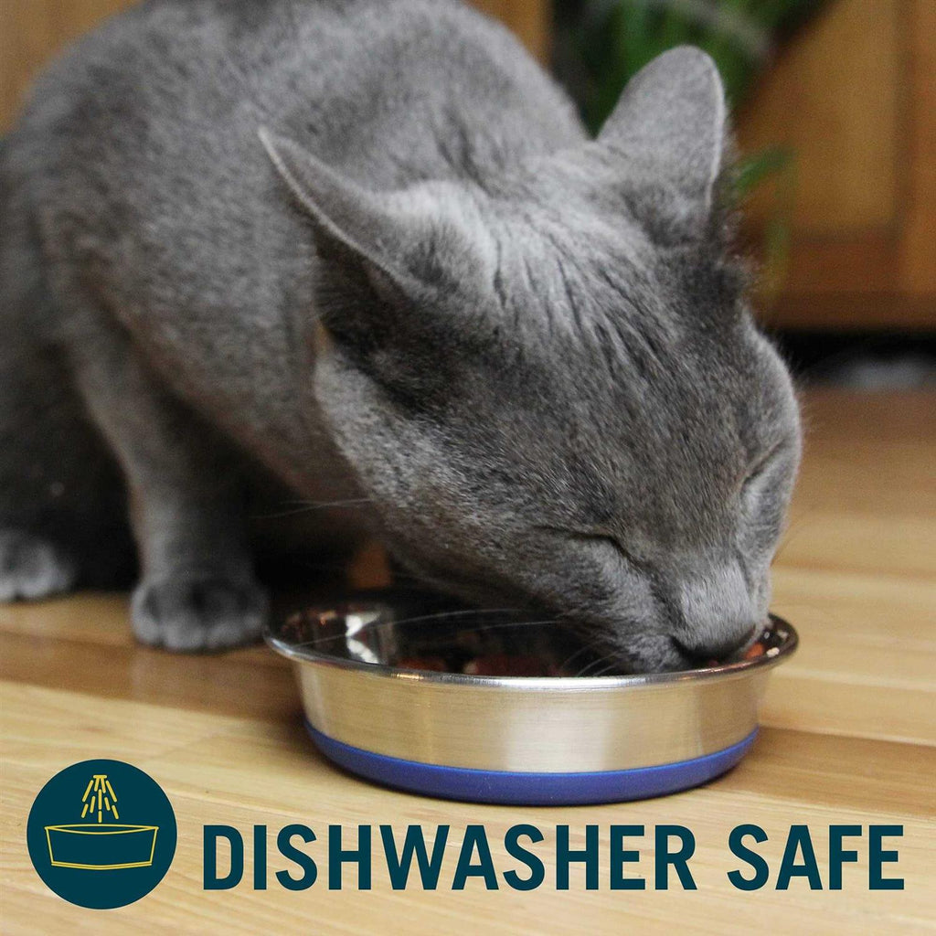 Cat Bowl F704