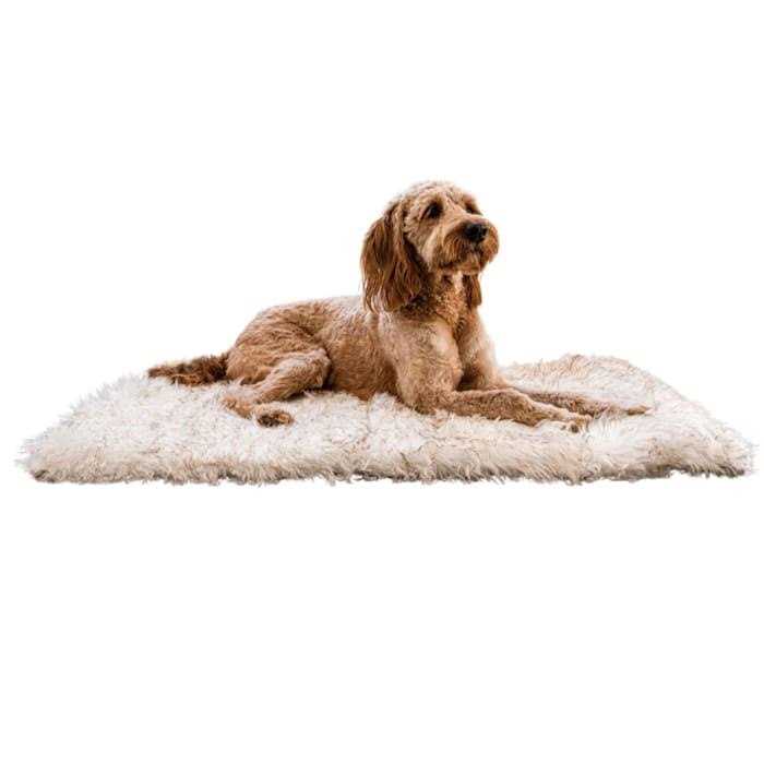 White Portable Orthopedic Dog Bed Z1762