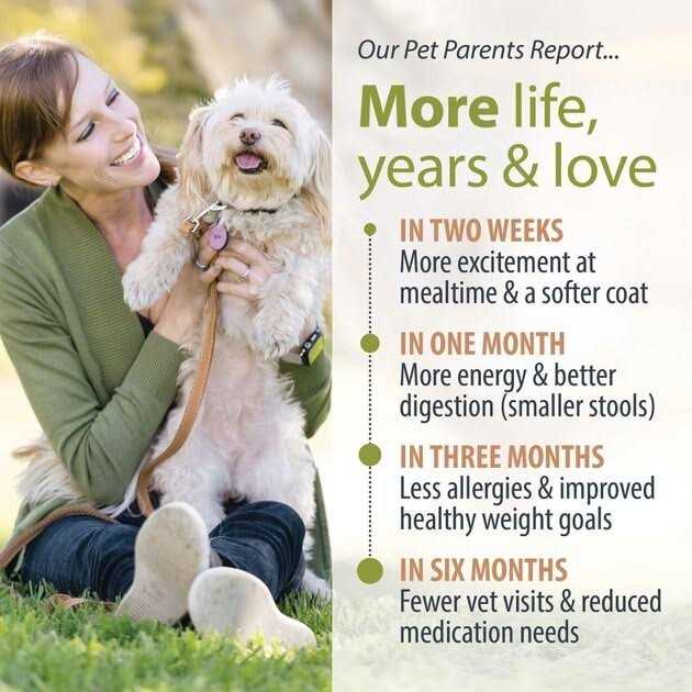 Fresh Dog Food H881