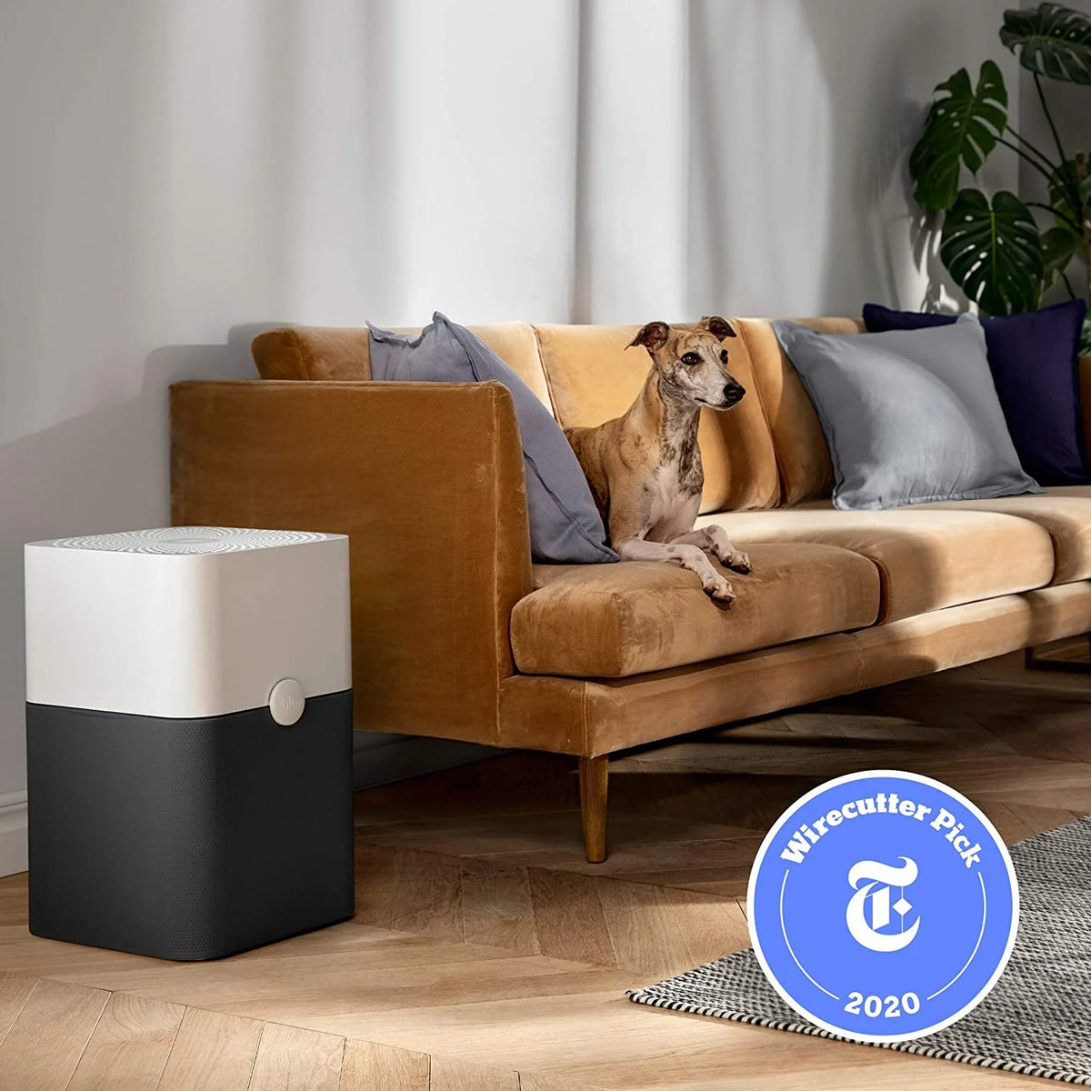Air Purifier up to 2,592 sq ft L6884