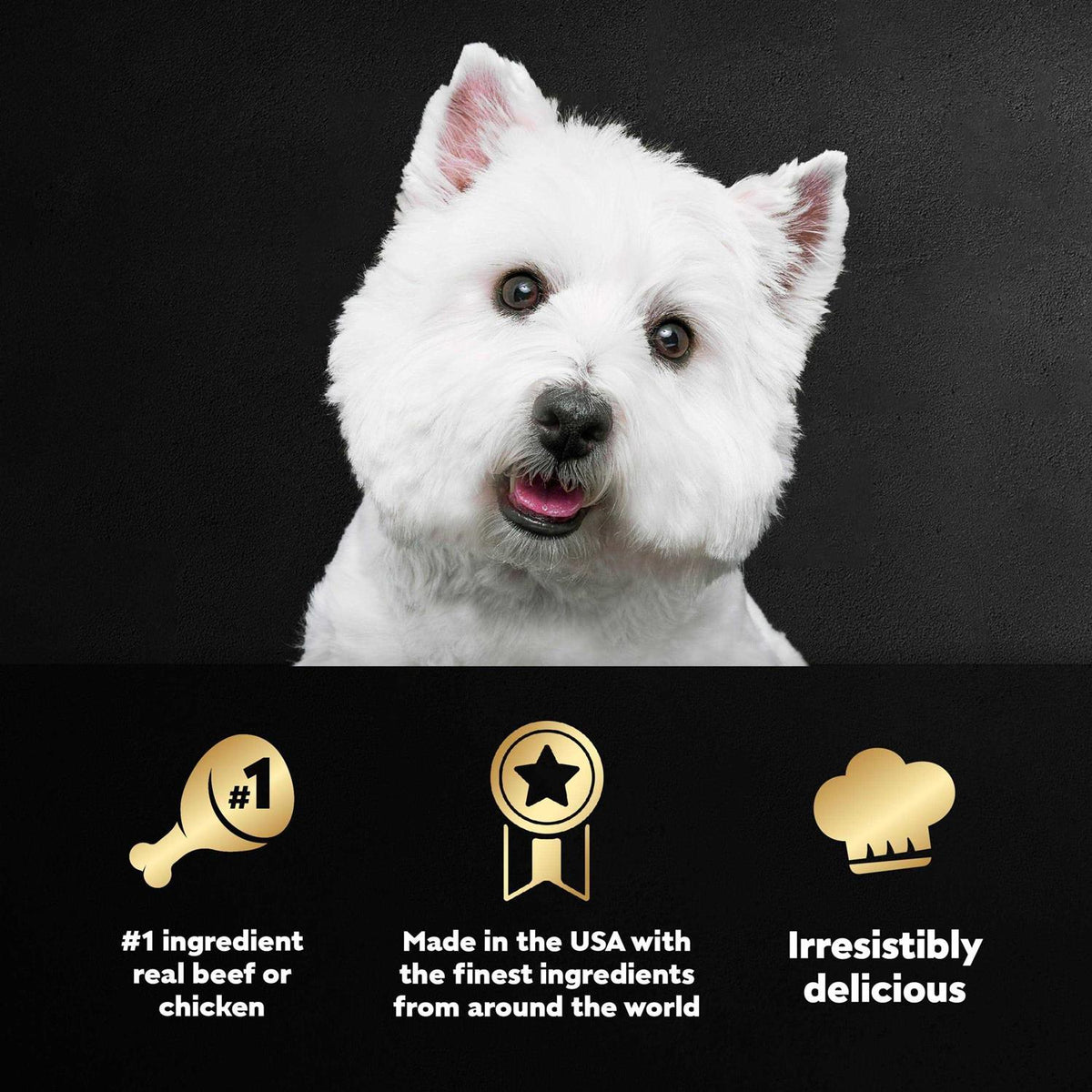 Vegetables Dog Food X933