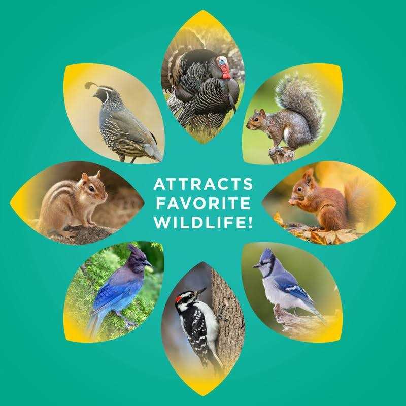 Wild Bird Food S83740