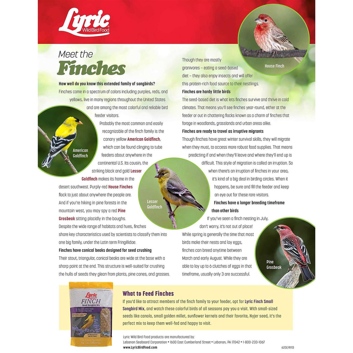 Small Songbird Wild Bird Food H395055