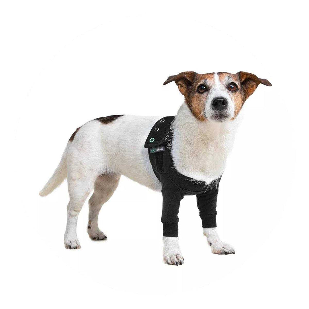 Dog Recovery Sleeves Q38468
