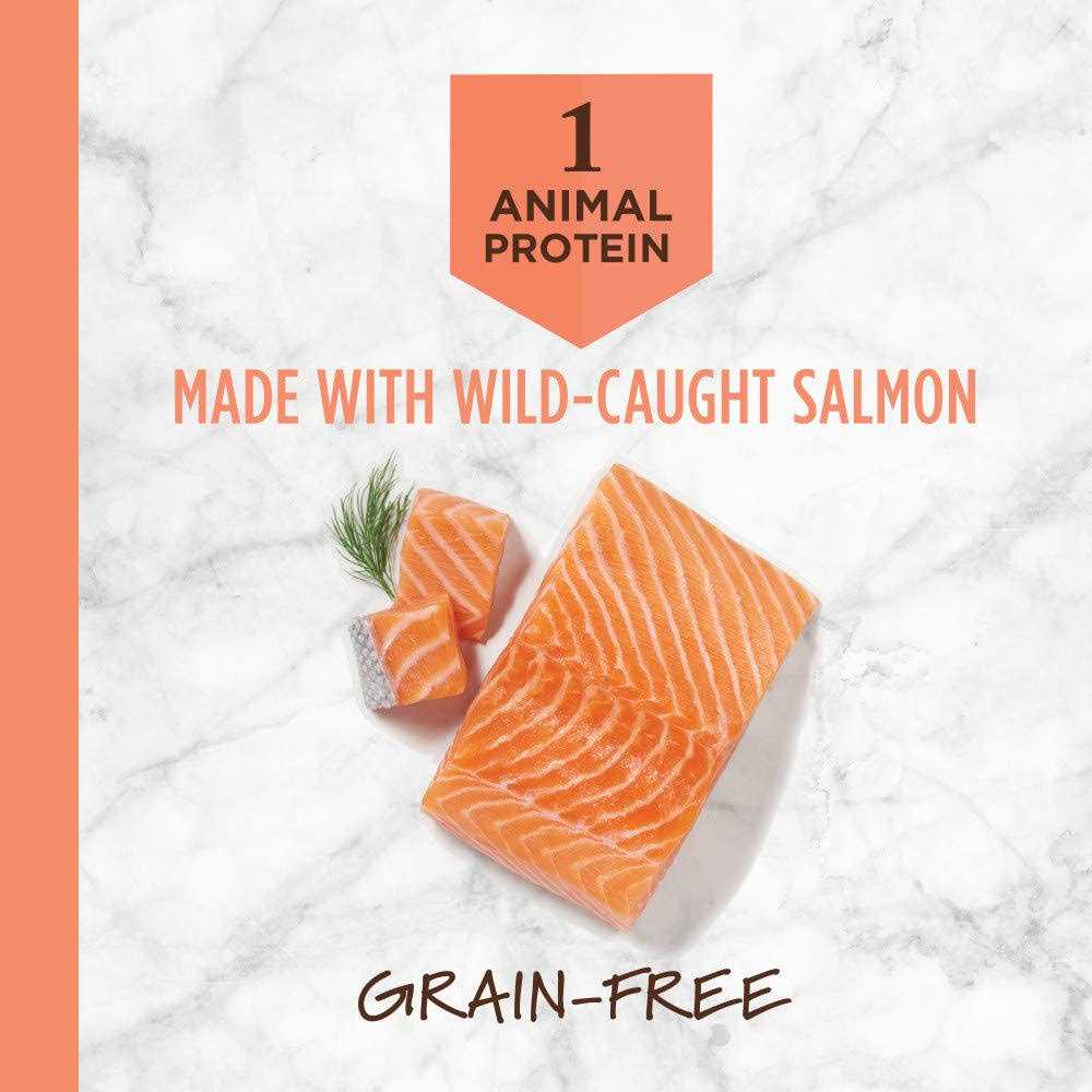 Grain-Free Salmon Dry Dog Food D955222