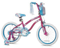 Pink and Blue Child Bike J390969