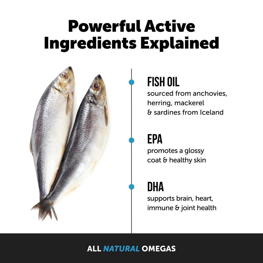 Wild Caught Omega-3 Fish Oil Supplement for Dogs and Cats P6299
