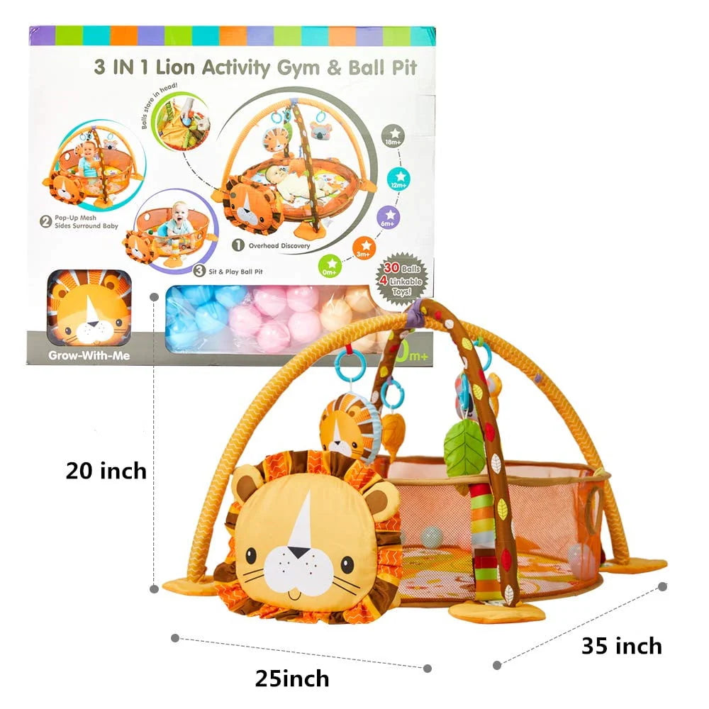 3 in 1 Baby Gym Play Mat with Ocean Ball A990950
